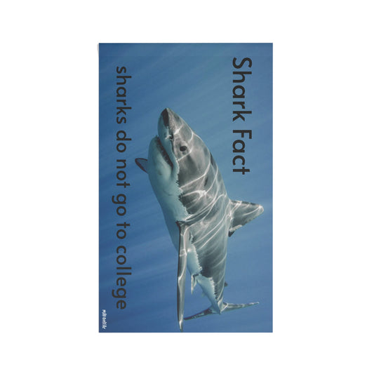 Shark Fact Flag